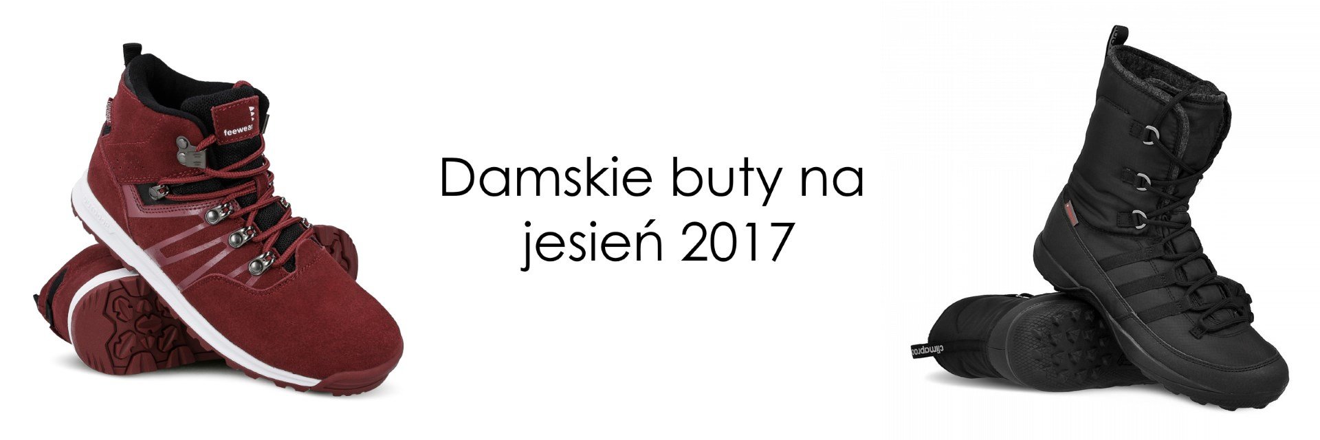 Damskie buty na jesień 2017