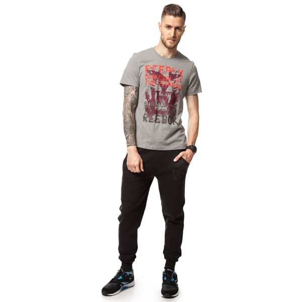 Koszulka męska REEBOK T-SHIRT GR PHOTO aa9308 kolor szary