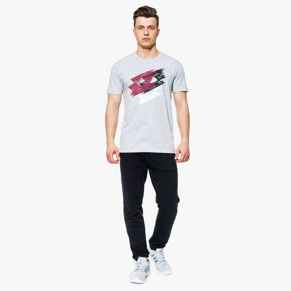 Koszulka męska LOTTO T-SHIRT SS SPORTLOGO lo18tsm12001 kolor szary