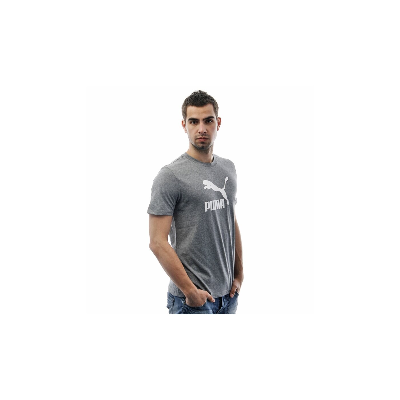 Koszulka męska PUMA T-SHIRT SS PUMA NO 1 LOGO 74315302 kolor szary