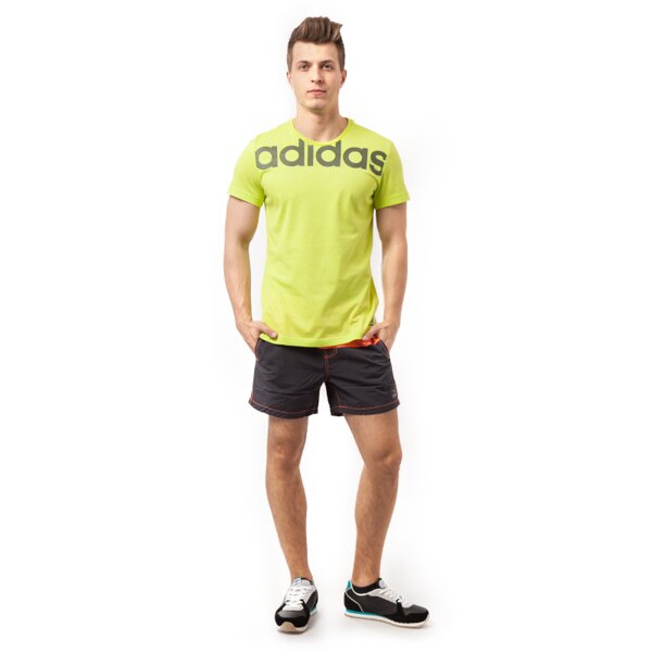 Kąpielówki męskie FEEWEAR SZORTY SWIM BAZOS fwv15szm01003 kolor szary