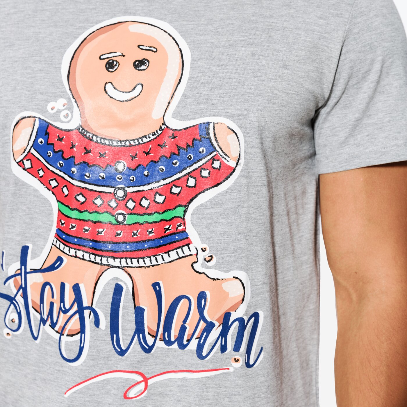 Koszulka męska FEEWEAR T-SHIRT SS COOKIE fw37tsm46001 kolor szary