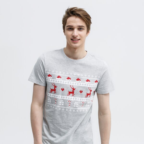 Koszulka męska FEEWEAR T-SHIRT NORTH POLE fw39tsm70001 kolor szary