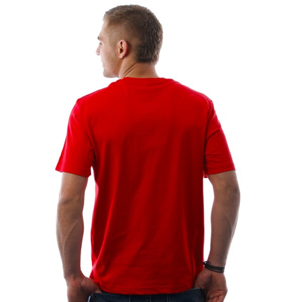 Koszulka męska NIKE T-SHIRT HS MENS GRAPHIC DOUBLE PACK #473380100 kolor multicolor