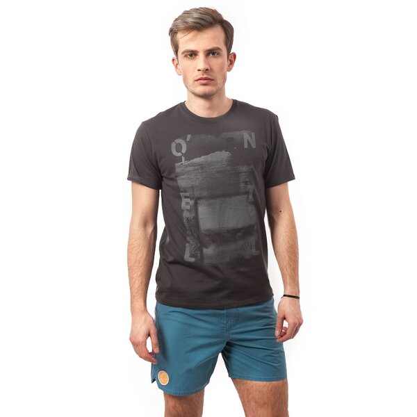 Koszulka męska O'NEILL T-SHIRT LM S/SLV TEE 5036089009 kolor szary