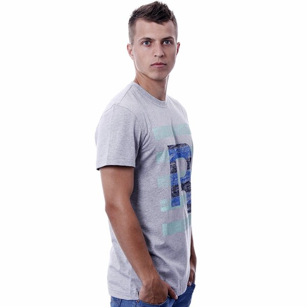 Koszulka męska REEBOK T-SHIRT CR STRIPE R TEE z23342 