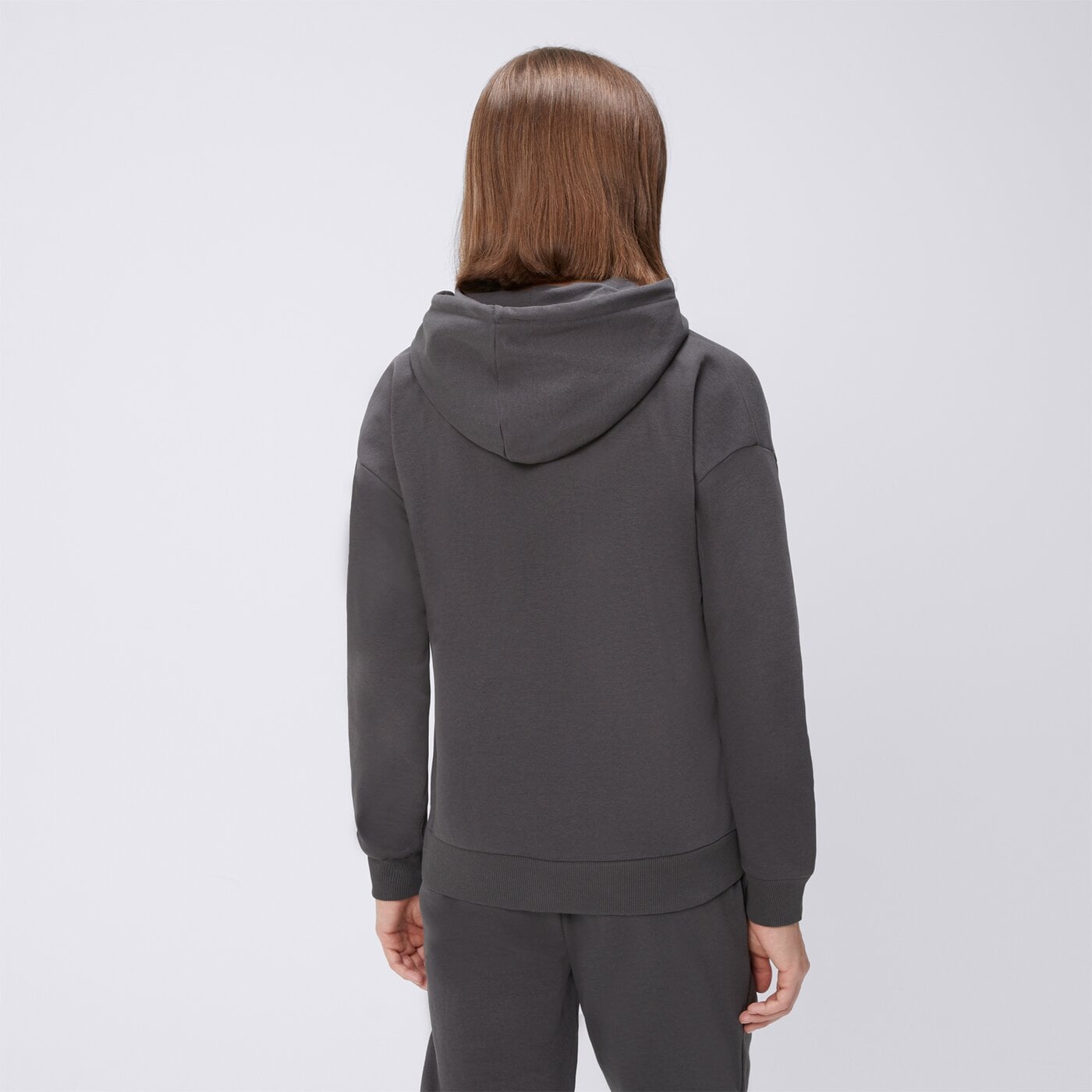 Bluza damska FILA BLUZA Z KAPTUREM SANDRA fw25spw030291 kolor szary