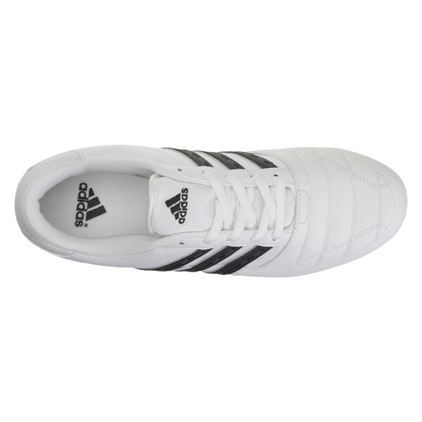 Buty sportowe męskie ADIDAS NEW TAEKWONDO g17591 