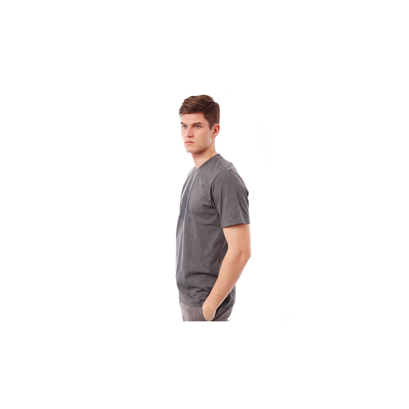 Koszulka męska ADIDAS T-SHIRT ESS LOGO TEE f83866 kolor szary