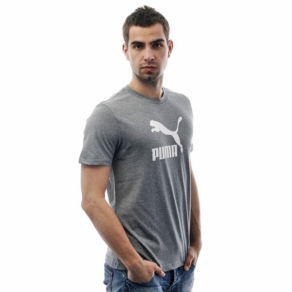 Koszulka męska PUMA T-SHIRT SS PUMA NO 1 LOGO 74315302 kolor szary