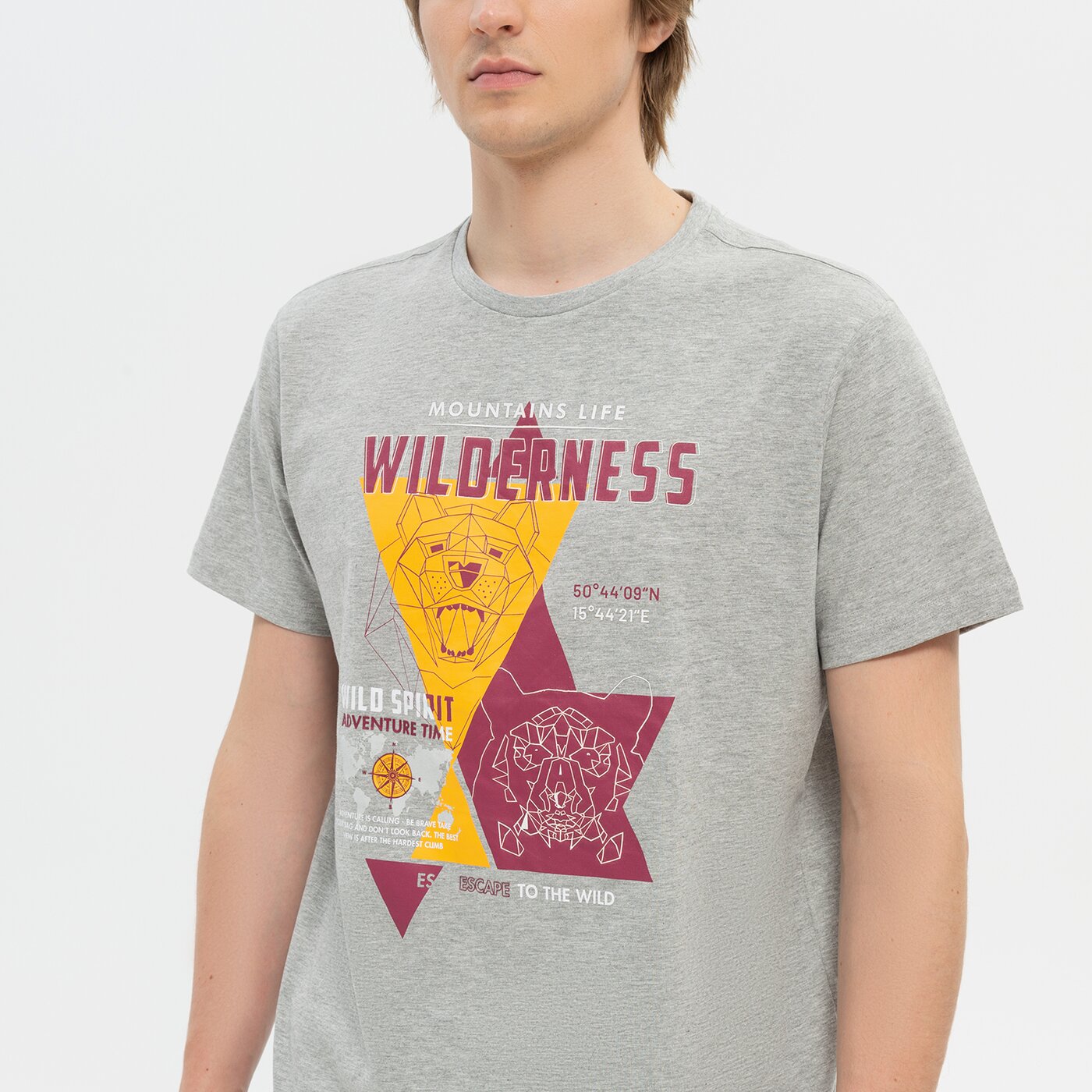 Koszulka męska UP8 T-SHIRT AMECA up322tsm33001 kolor szary