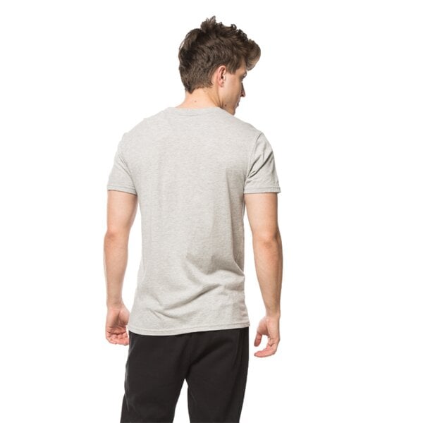Koszulka męska FEEWEAR T-SHIRT TERR fw16tsm56001 kolor szary
