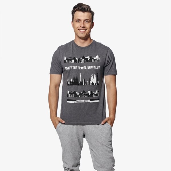 Koszulka męska FEEWEAR T-SHIRT SS PHILIP fw18tsm42001 kolor szary