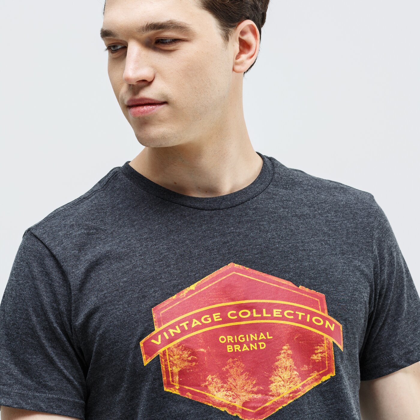 Koszulka męska FEEWEAR T-SHIRT GRANITE fw39tsm14001 kolor szary