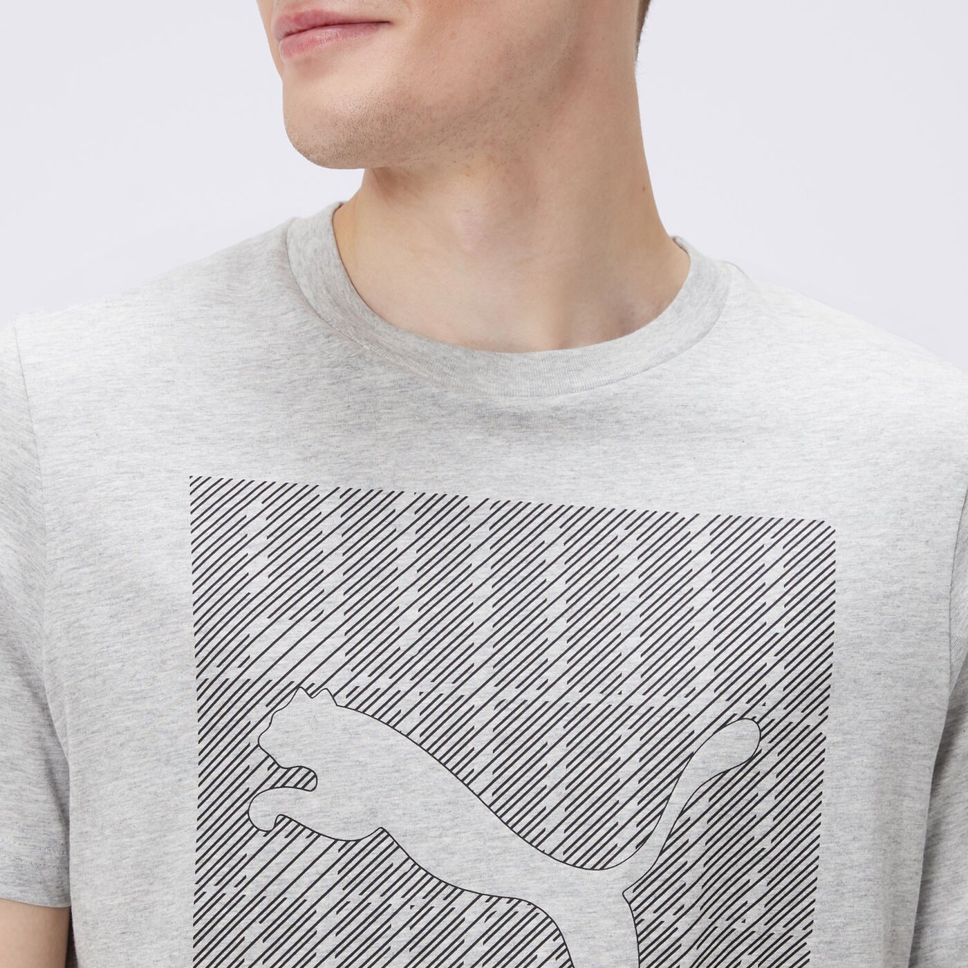 Koszulka męska PUMA T-SHIRT GRAPHICS PUMA WORDING 68482504 kolor szary