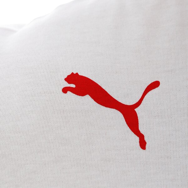 Koszulka męska PUMA T-SHIRT HUSSAR TEE 74095507 kolor biały