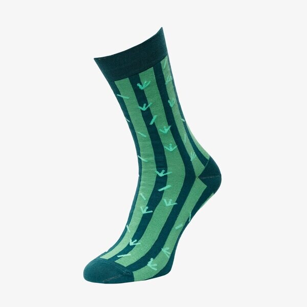 Skarpetki damskie UP8 SKARPETY CACTOO 2 PAK up121ska65001 kolor multicolor
