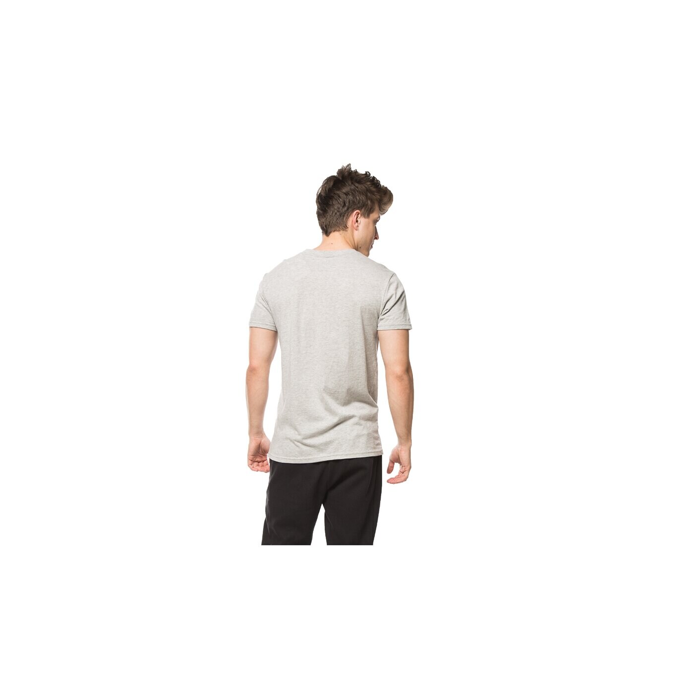 Koszulka męska FEEWEAR T-SHIRT TERR fw16tsm56001 kolor szary
