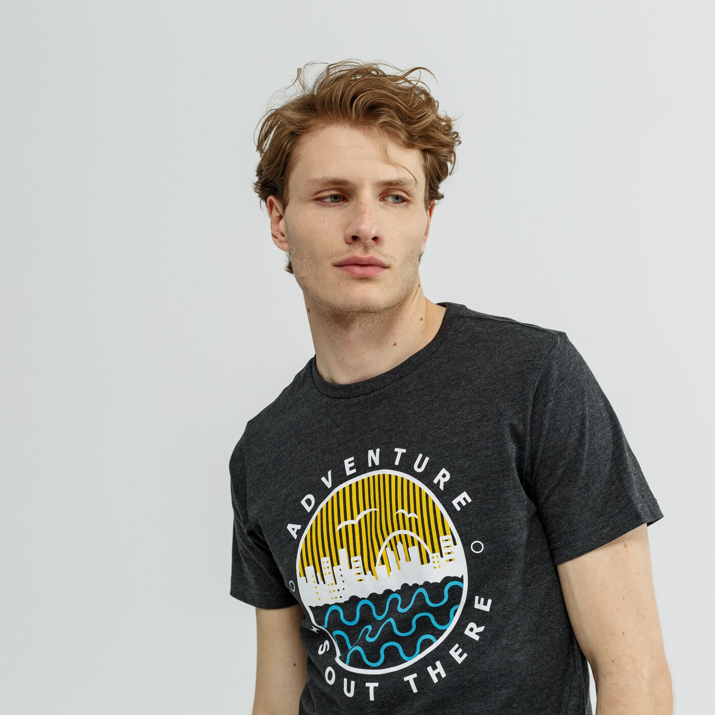 Koszulka męska FEEWEAR T-SHIRT SS TEMUCO fw19tsm58001 kolor szary