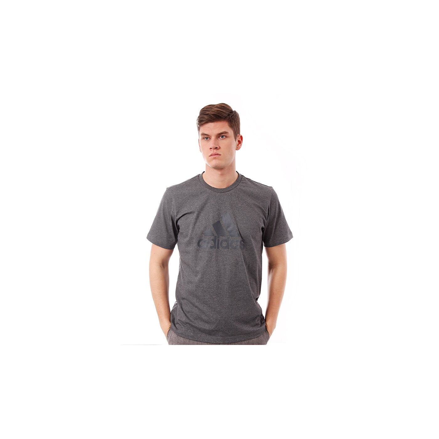 Koszulka męska ADIDAS T-SHIRT ESS LOGO TEE f83866 kolor szary