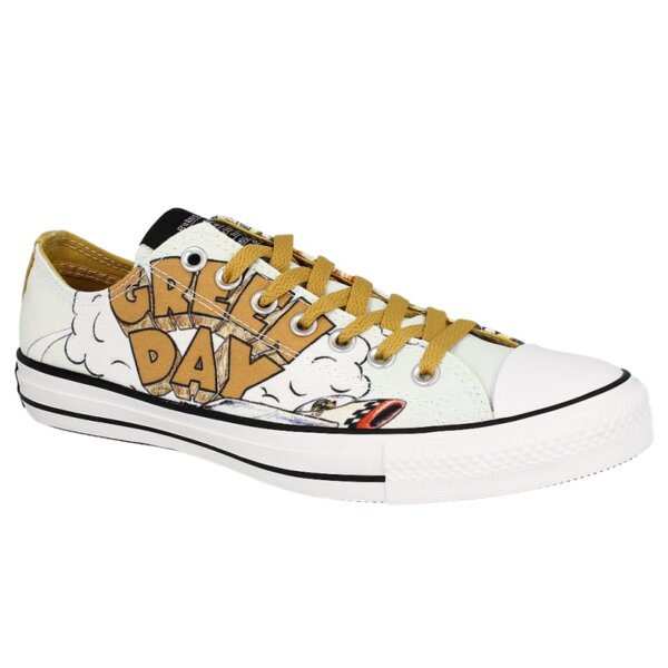 Buty sportowe męskie CONVERSE CHUCK TAYLOR GREEN DA 135868 kolor biały