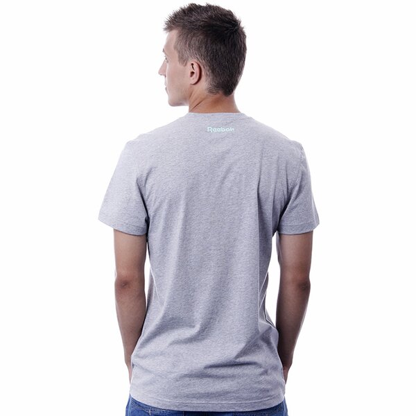 Koszulka męska REEBOK T-SHIRT CR STRIPE R TEE z23342 