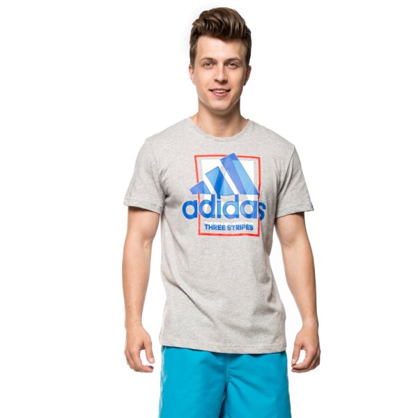Koszulka męska ADIDAS T-SHIRT COUNTRY LOGO ai6035 kolor szary