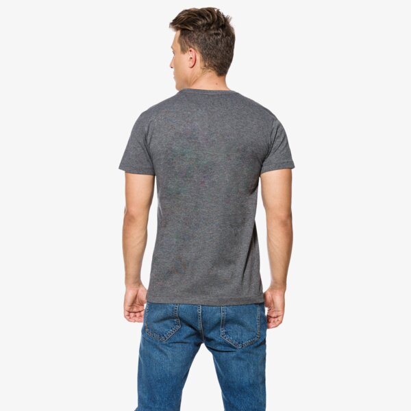 Koszulka męska FEEWEAR T-SHIRT SS GERONIMO fw37tsm35001 kolor szary