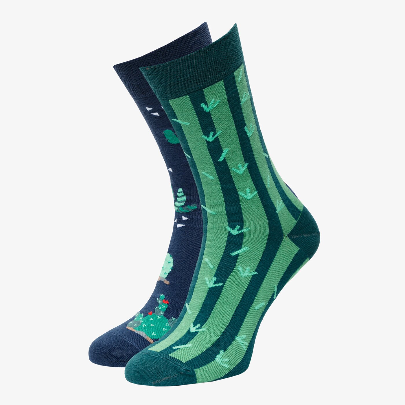 Skarpetki damskie UP8 SKARPETY CACTOO 2 PAK up121ska65001 kolor multicolor