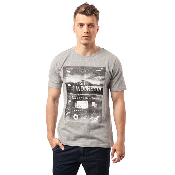 Koszulka męska FEEWEAR T-SHIRT MOUN fw15tsm28002 kolor szary