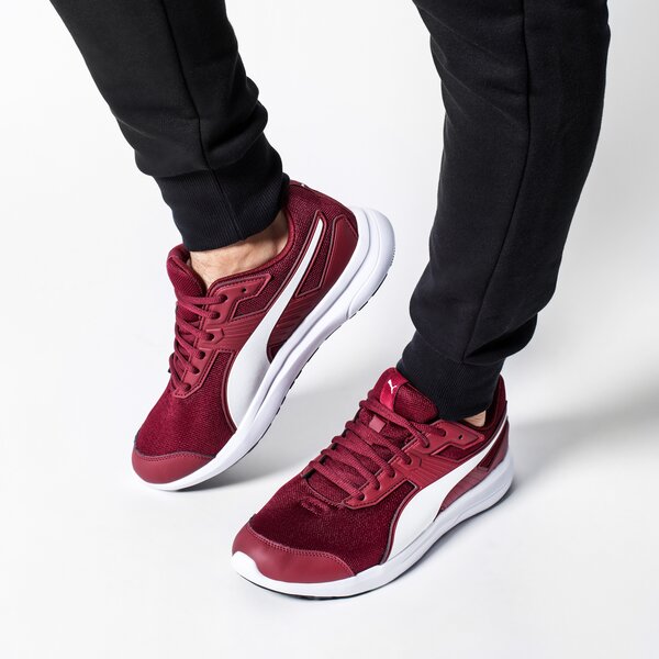 Buty sportowe męskie PUMA ESCAPER MESH 36430712 kolor bordowy