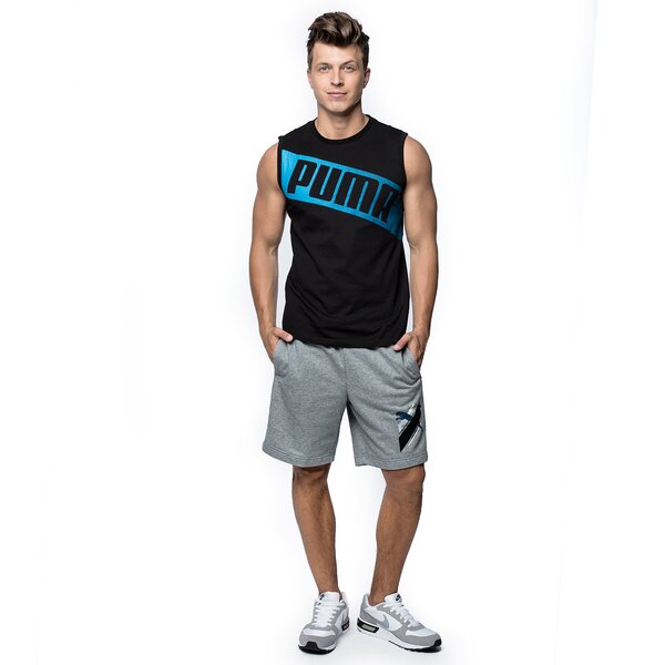 Spodenki męskie PUMA SZORTY FUN DRYGRAPHIC SWEAT BERMUDA 83653003 kolor szary