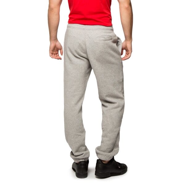 Spodnie dresowe męskie REEBOK SPODNIE EL CC FLC ab0170 kolor szary