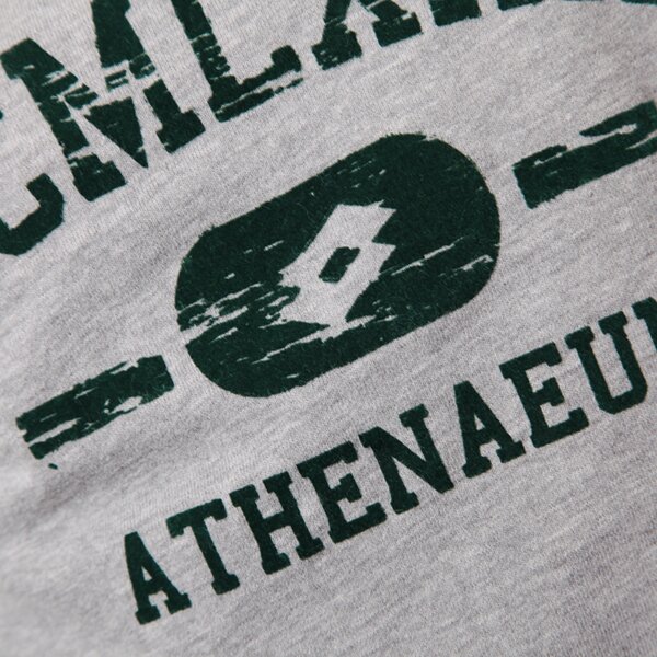 Bluza męska LOTTO BLUZA SWEAT FLAVIO FL HD r3567 kolor szary