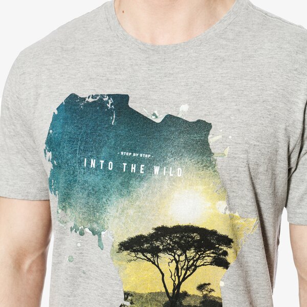 Koszulka męska FEEWEAR T-SHIRT SS AFRICA fw18tsm43001 kolor szary