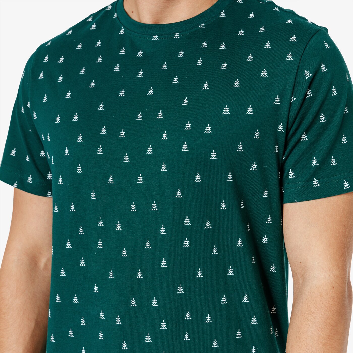 Koszulka męska FEEWEAR T-SHIRT SS TREE fw38tsm64001 kolor zielony