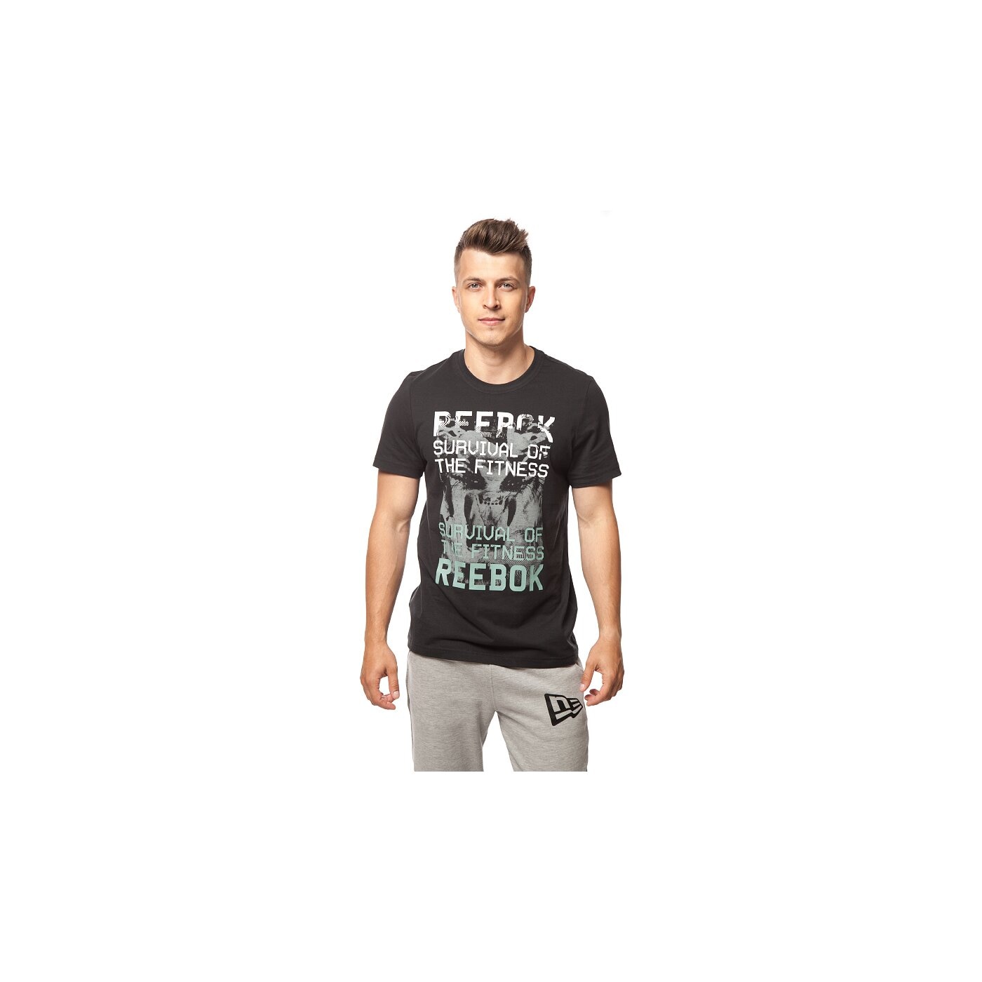 Koszulka męska REEBOK T-SHIRT GR PHOTO aa9309 kolor czarny