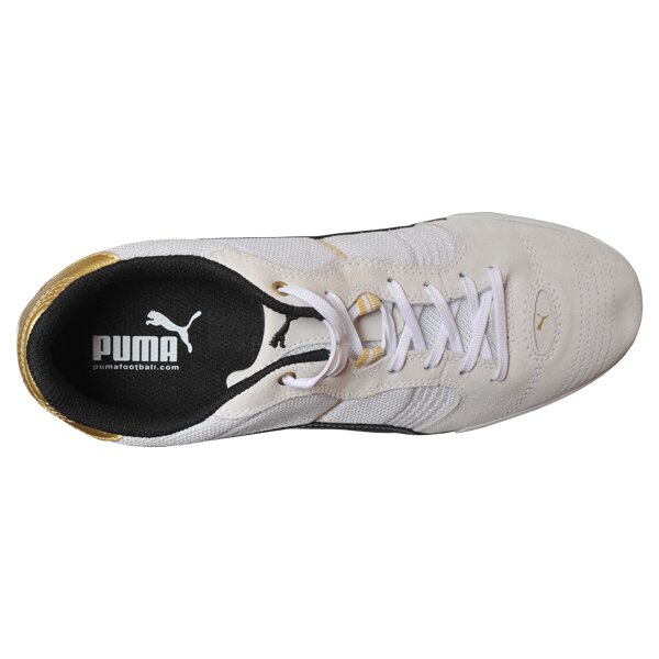 Buty sportowe męskie PUMA ESITO VULC SALA 10203801 kolor beżowy
