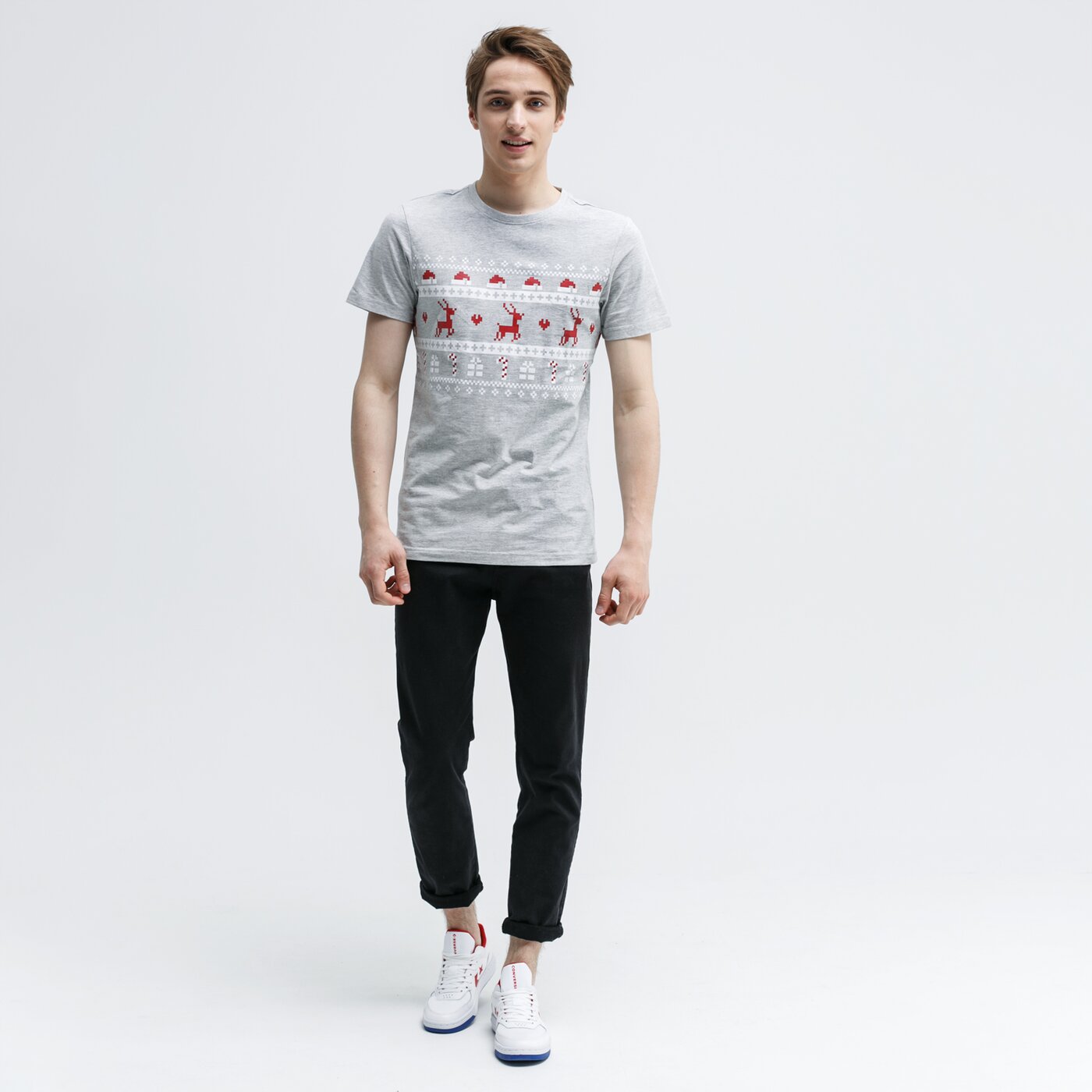 Koszulka męska FEEWEAR T-SHIRT NORTH POLE fw39tsm70001 kolor szary