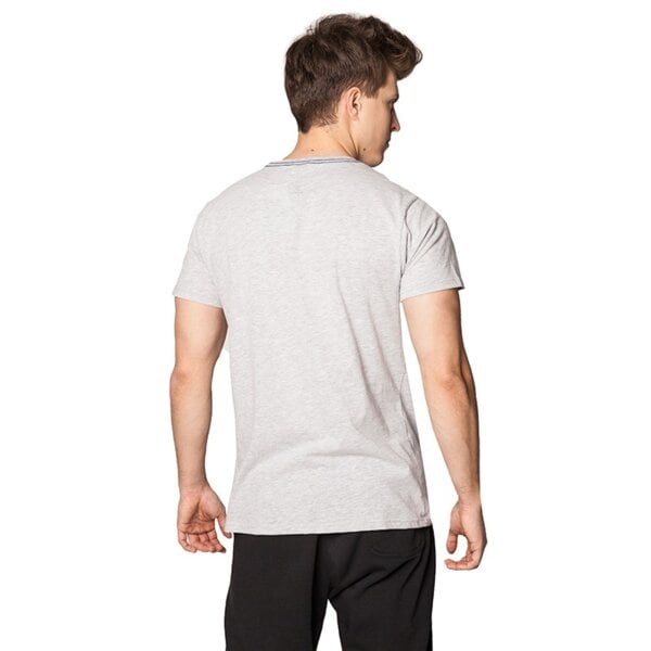 Koszulka męska FEEWEAR T-SHIRT CRUET fw16tsm18001 kolor szary