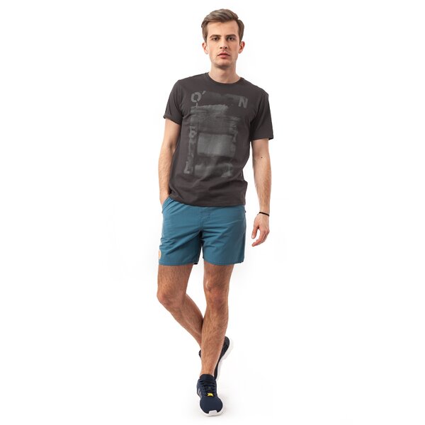 Koszulka męska O'NEILL T-SHIRT LM S/SLV TEE 5036089009 kolor szary