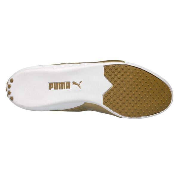 Buty sportowe damskie PUMA LANAI XT L NM WN'S 35228202 kolor biały