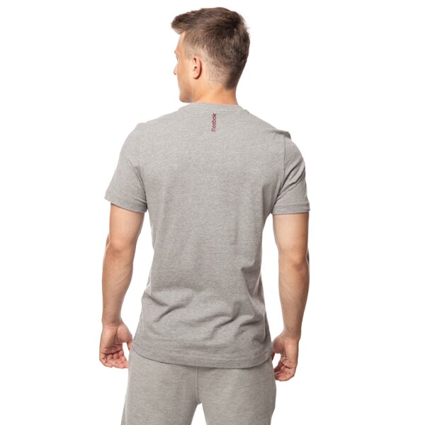 Koszulka męska REEBOK T-SHIRT GR PHOTO aa9308 kolor szary
