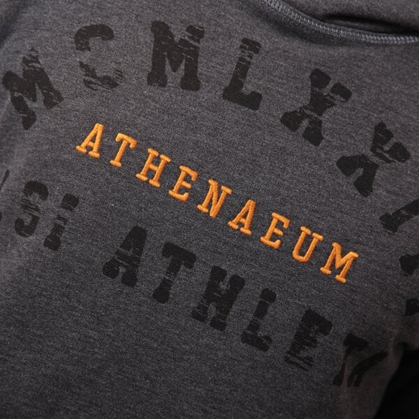 Bluza męska LOTTO BLUZA SWEAT FLAVIO FL HD r3569 kolor szary