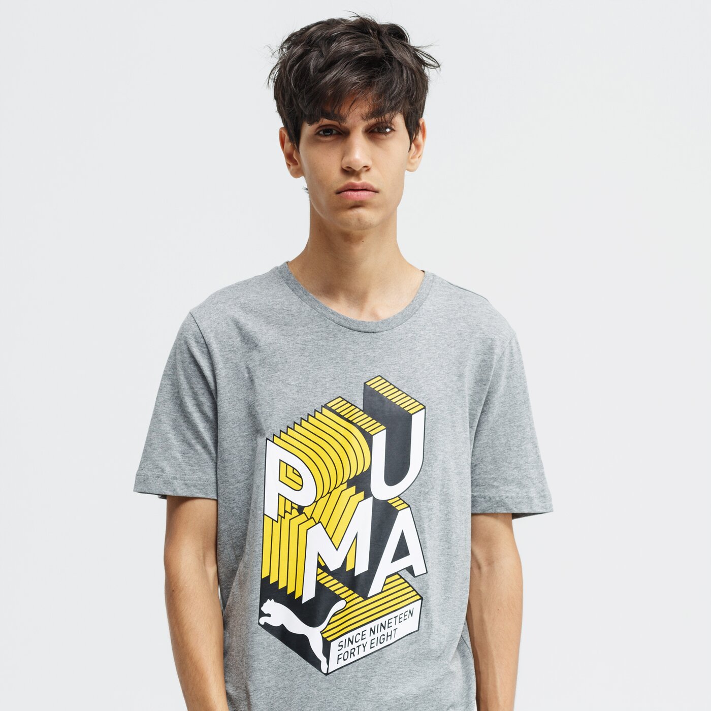 Koszulka męska PUMA T-SHIRT SS PUMA GRAPHIC 58019303 kolor szary