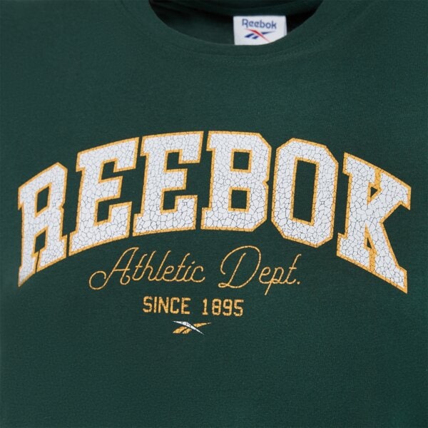 Koszulka męska REEBOK T-SHIRT ATH DEPT GRAPHIC TEE 100263170 kolor zielony