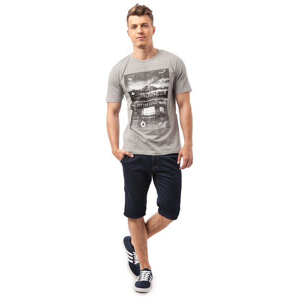 Koszulka męska FEEWEAR T-SHIRT MOUN fw15tsm28002 kolor szary