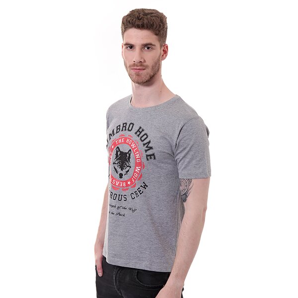 Koszulka męska UMBRO T-SHIRT WILLIAMS um14tsmpr001 kolor szary