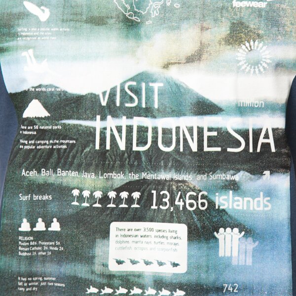 Koszulka męska FEEWEAR T-SHIRT MOUN fw15tsm28001 kolor granatowy