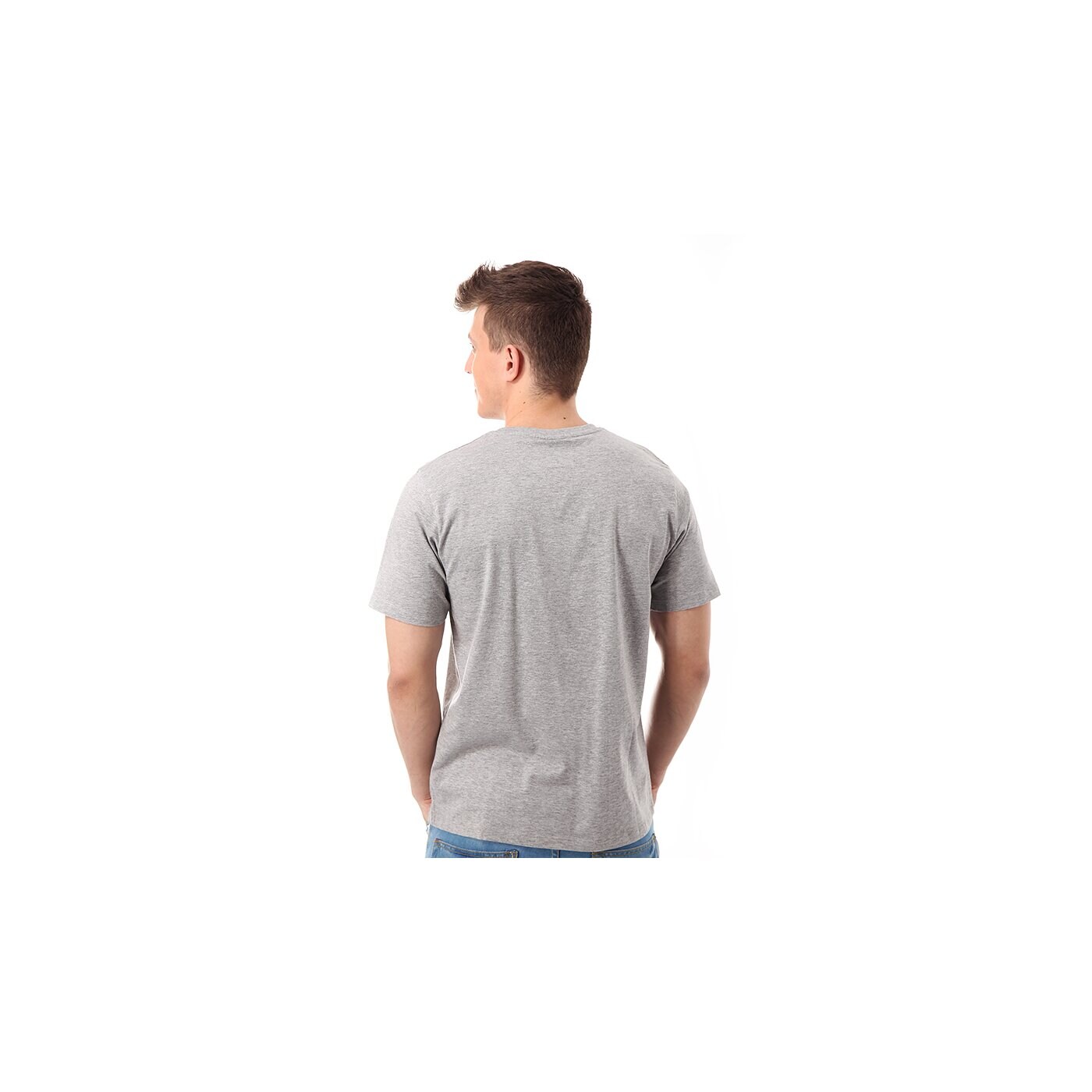 Koszulka męska FEEWEAR  T-SHIRT RAFAEL fw14tsm022001 kolor szary
